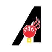 American Indian Science and Engineering Society (AISES) logo.